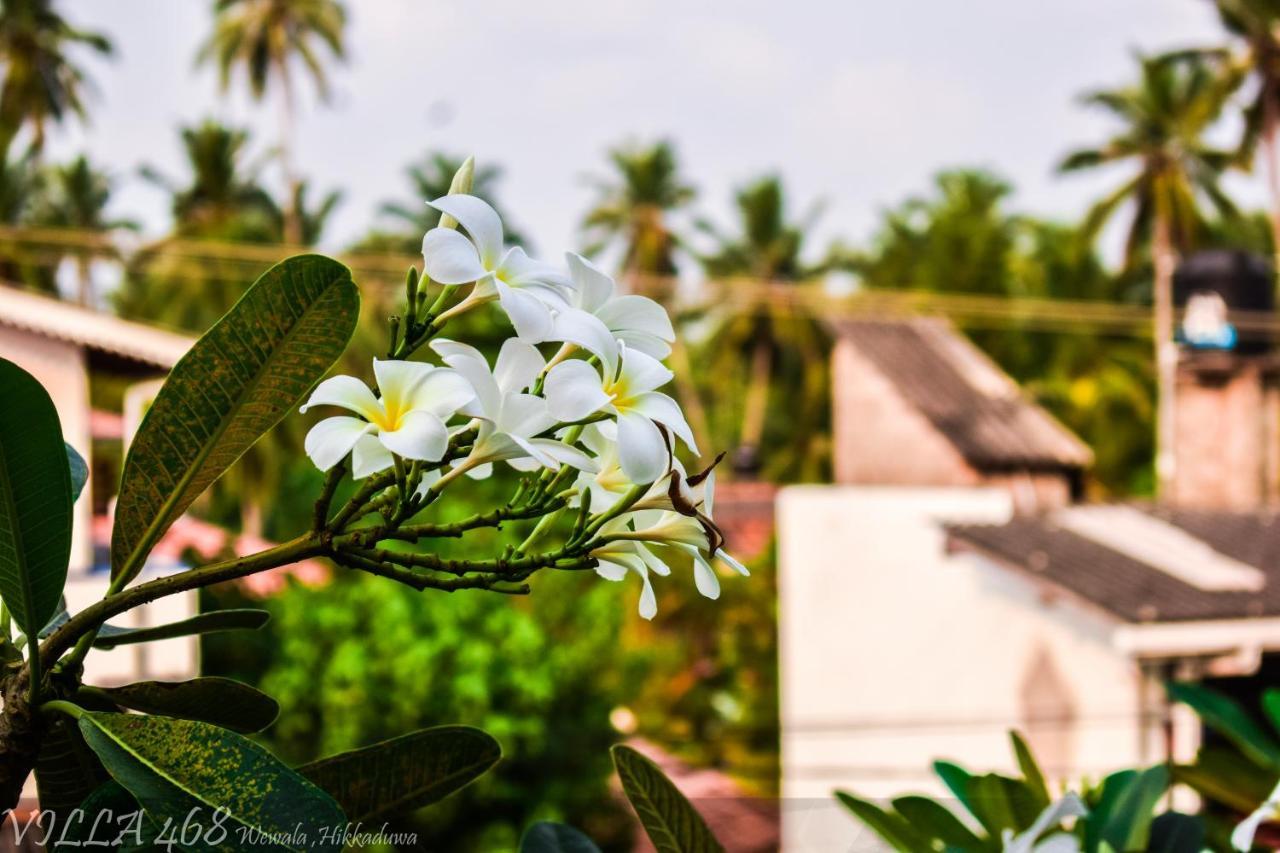 Villa 468 - ฮิกคาดูวา ภายนอก รูปภาพ